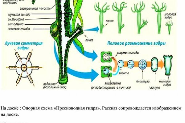 Кракен ссылка тор на сайт